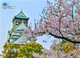 [HCM] Tour Nhật Bản Hành Trình Vàng Đẹp Nhất 2026